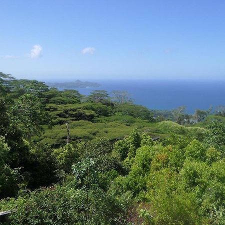 Tropical Garden Self Catering Villa Victoria Eksteriør billede