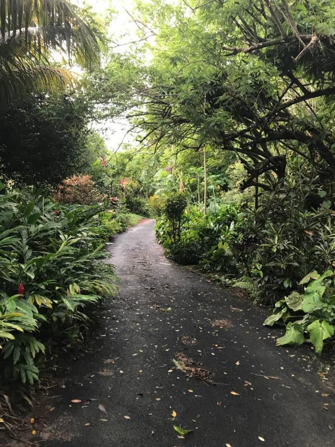 Tropical Garden Self Catering Villa Victoria Eksteriør billede