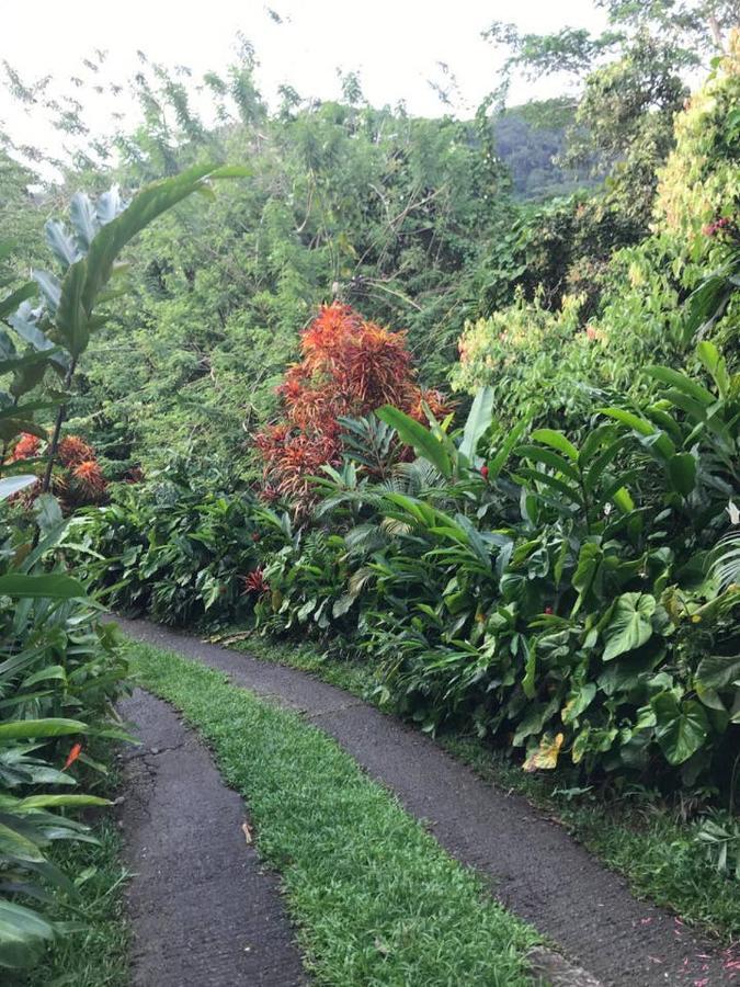 Tropical Garden Self Catering Villa Victoria Eksteriør billede